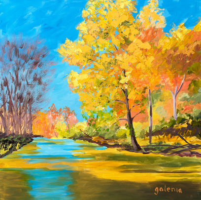 North Carolina Starship by JoAnn Golenia | Artwork Main Image