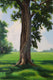 Original art for sale at UGallery.com | Oak at the Indian Lands by Andres Lopez | $1,675 | oil painting | 36' h x 24' w | thumbnail 2