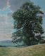 Original art for sale at UGallery.com | Oak Tree by Stefan Conka | $3,100 | oil painting | 39.3' h x 31.4' w | thumbnail 1