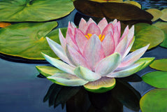 Original art for sale at UGallery.com | Dreamland. White by Guigen Zha | $2,000 | oil painting | 36' h x 24' w | thumbnail 4