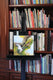 Original art for sale at UGallery.com | The Last Migrant by Andres Lopez | $650 | oil painting | 12' h x 12' w | thumbnail 4