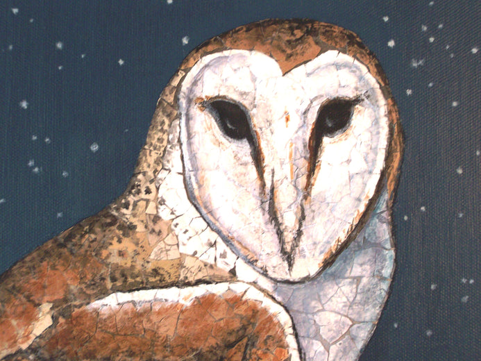 Wisdom Is Within - Barn Owl by Jennifer Ross |  Context View of Artwork 