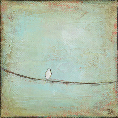 One Dove by Sally Adams | Artwork Main Image