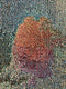 Original art for sale at UGallery.com | Brazilian Mountains (Soft Synesthesia) by Jack R. Mesa | $5,475 | fiber artwork | 37' h x 54' w | thumbnail 4