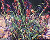 Original art for sale at UGallery.com | Desert Night Bird by Tara Zalewsky-Nease | $975 | oil painting | 24' h x 30' w | thumbnail 1