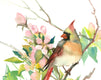 Original art for sale at UGallery.com | Cardinal and Apple Tree Blossom by Suren Nersisyan | $400 | watercolor painting | 15.5' h x 12' w | thumbnail 2