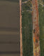 Original art for sale at UGallery.com | Forest Encounter by Kent Sullivan | $1,400 | oil painting | 14' h x 24' w | thumbnail 2