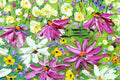 Original art for sale at UGallery.com | Springtime! by Lisa Elley | $300 | oil painting | 8' h x 10' w | thumbnail 4