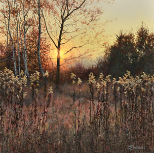 Looking for inspiration by Dariusz Choinski |  Artwork Main Image 