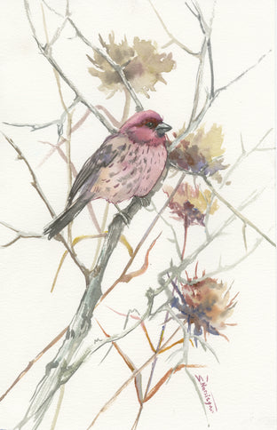 House Finch in the Field (Vertical) by Suren Nersisyan |  Artwork Main Image 