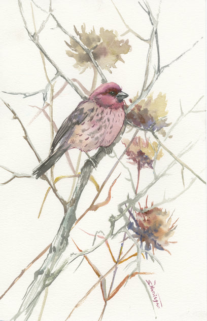 House Finch in the Field (Vertical) by Suren Nersisyan | Artwork Main Image