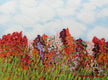 Original art for sale at UGallery.com | Red Garden by Allan P. Friedlander | $600 | acrylic painting | 18' h x 24' w | thumbnail 1