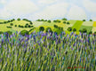 Original art for sale at UGallery.com | Blue Grass by Allan P. Friedlander | $600 | acrylic painting | 18' h x 24' w | thumbnail 1
