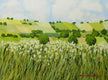 Original art for sale at UGallery.com | Early Grass by Allan P. Friedlander | $600 | acrylic painting | 18' h x 24' w | thumbnail 1