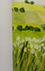 Original art for sale at UGallery.com | Early Grass by Allan P. Friedlander | $600 | acrylic painting | 18' h x 24' w | thumbnail 2