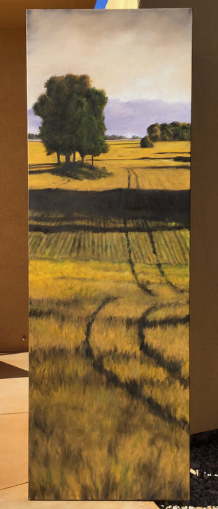 Agricultural Geometry by Mandy Main |  Context View of Artwork 