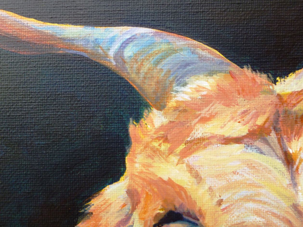 Are You Kidding Me? by Catherine McCargar |  Closeup View of Artwork 