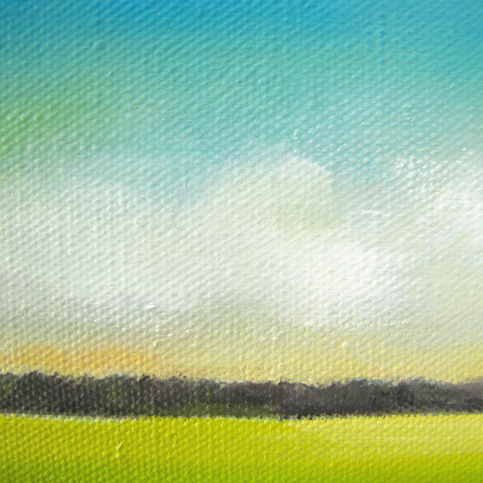 Blue Sky Marsh by Nancy Hughes Miller |  Context View of Artwork 