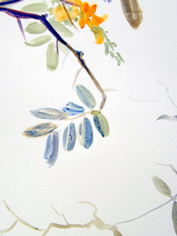 Bee Eaters and Acacia by Suren Nersisyan |  Closeup View of Artwork 