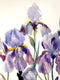 Original art for sale at UGallery.com | Irises from the Garden by Suren Nersisyan | $450 | watercolor painting | 24' h x 18' w | thumbnail 2