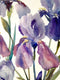 Original art for sale at UGallery.com | Irises from the Garden by Suren Nersisyan | $450 | watercolor painting | 24' h x 18' w | thumbnail 4