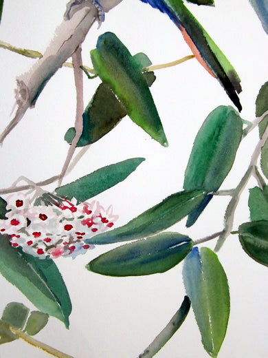 Bee Eaters and Hoya by Suren Nersisyan |  Context View of Artwork 