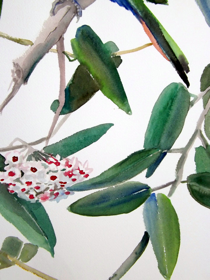 Bee Eaters and Hoya by Suren Nersisyan |  Context View of Artwork 