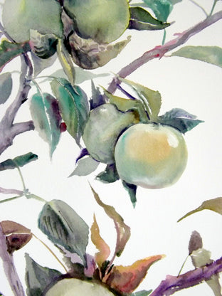 Original art for sale at UGallery.com | Green Apples by Suren Nersisyan | $450 | watercolor painting | 24' h x 18' w | photo 4