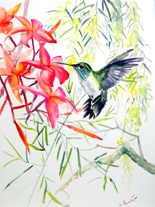 Hummingbird by Suren Nersisyan |  Artwork Main Image 