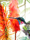 Original art for sale at UGallery.com | Hummingbird and Aloe by Suren Nersisyan | $575 | watercolor painting | 24' h x 18' w | thumbnail 3