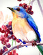 Original art for sale at UGallery.com | Eastern Bluebird and Berries by Suren Nersisyan | $300 | watercolor painting | 15' h x 11' w | thumbnail 3