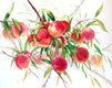 Original art for sale at UGallery.com | Peaches (Fruits on the Tree) by Suren Nersisyan | $575 | watercolor painting | 16' h x 20' w | thumbnail 1
