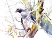 Original art for sale at UGallery.com | Raven in the Forest by Suren Nersisyan | $475 | watercolor painting | 18' h x 24' w | thumbnail 1