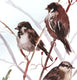 Original art for sale at UGallery.com | Three Sparrows by Suren Nersisyan | $450 | watercolor painting | 22' h x 12' w | thumbnail 4