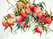 Original art for sale at UGallery.com | Peaches by Suren Nersisyan | $375 | watercolor painting | 15' h x 20' w | thumbnail 1