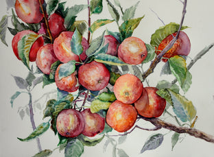 Original art for sale at UGallery.com | Apples by Suren Nersisyan | $315 | watercolor painting | 15' h x 20' w | photo 1
