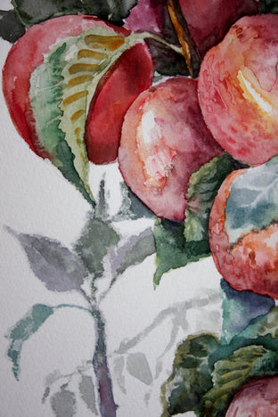 Original art for sale at UGallery.com | Apples by Suren Nersisyan | $315 | watercolor painting | 15' h x 20' w | photo 4