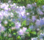 Original art for sale at UGallery.com | Into the Woods with Asters by Suzanne Massion | $1,225 | oil painting | 24' h x 36' w | thumbnail 4