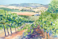 Original art for sale at UGallery.com | Livermore Valley Vineyard by Catherine McCargar | $650 | watercolor painting | 12' h x 18' w | thumbnail 1
