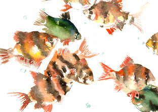 Tiger Barb by Suren Nersisyan |   Closeup View of Artwork 