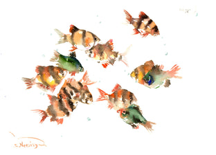 Tiger Barb by Suren Nersisyan |  Artwork Main Image 