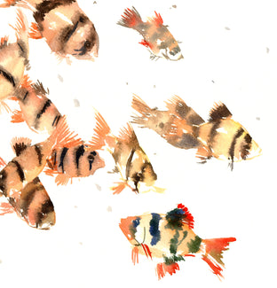 Tiger Barbs, Aquarium Fish by Suren Nersisyan |  Side View of Artwork 