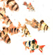 Original art for sale at UGallery.com | Tiger Barbs, Aquarium Fish by Suren Nersisyan | $250 | watercolor painting | 10' h x 14' w | thumbnail 2