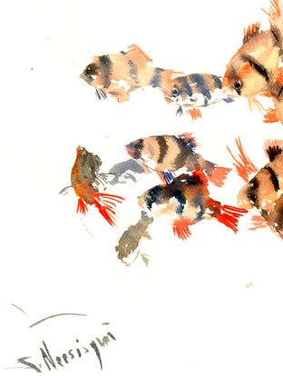 Tiger Barbs, Aquarium Fish by Suren Nersisyan |  Context View of Artwork 