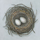 Original art for sale at UGallery.com | Mossy Nest II by Jennifer Ross | $375 | mixed media artwork | 12' h x 12' w | thumbnail 1