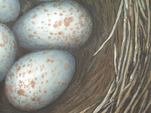Nest on a Silver Lining by Jennifer Ross |   Closeup View of Artwork 