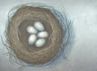 Original art for sale at UGallery.com | Nest on a Silver Lining by Jennifer Ross | $2,075 | acrylic painting | 36' h x 48' w | thumbnail 1