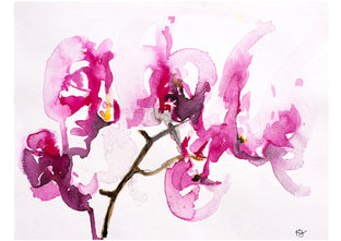 Orchid Study VII by Karin Johannesson |  Artwork Main Image 