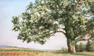 Original art for sale at UGallery.com | King of the Hill by Jill Poyerd | $1,100 | watercolor painting | 16' h x 27' w | thumbnail 1