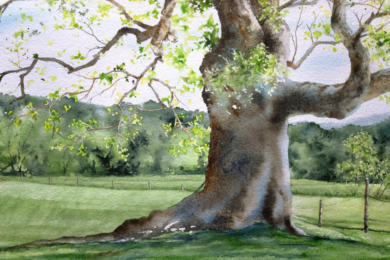 Spring Grandeur by Jill Poyerd |   Closeup View of Artwork 